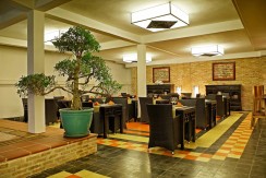 12274576_10207062229288418_1611314245202957865_n