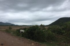 IMG-0410