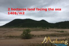 IMG-0422
