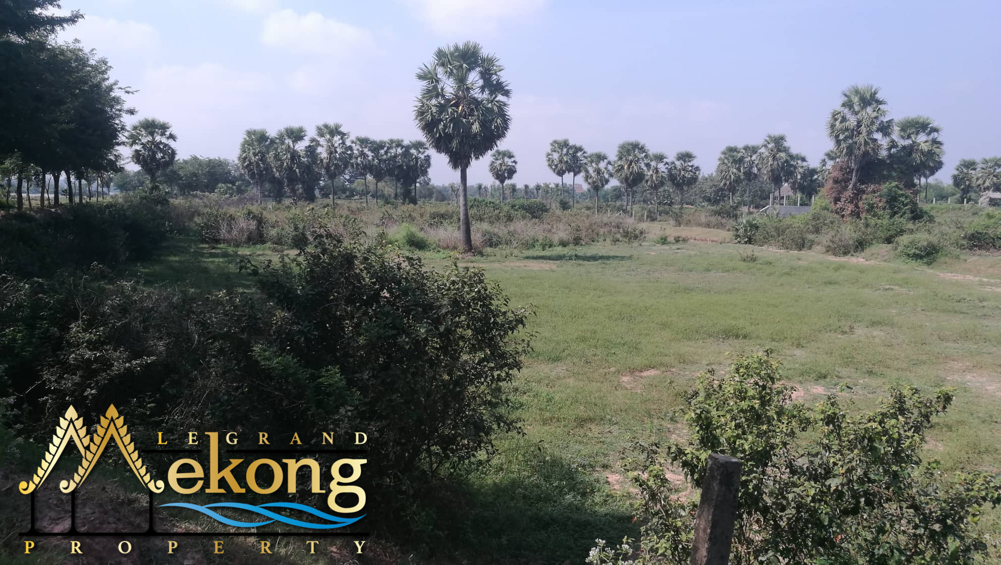 1480m2 Land FOR SALE (Koh Dach)